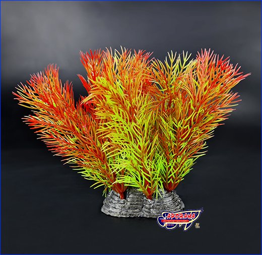  ,  Myriophyllum Red, 10 .