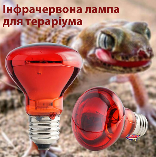 ������������ ���������� �����, AQUAXER, 75W.