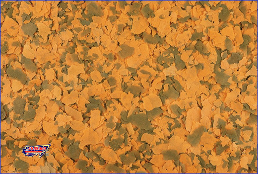 ����   Tetra Cichlid XL Flakes  10 L.