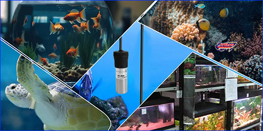 , Xilong XL-601, USB,  20 .