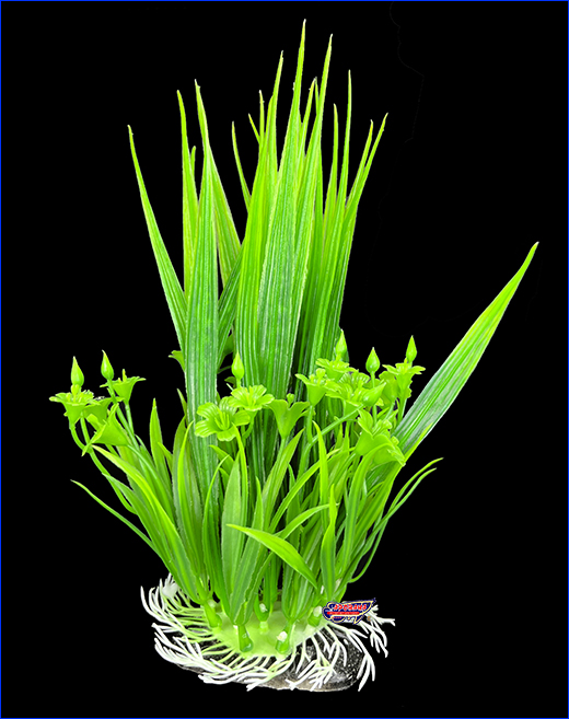  , Grass, 24 .