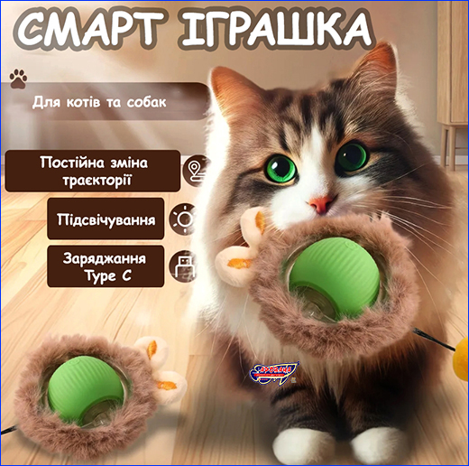   ’  , Smart Cat Ball, .