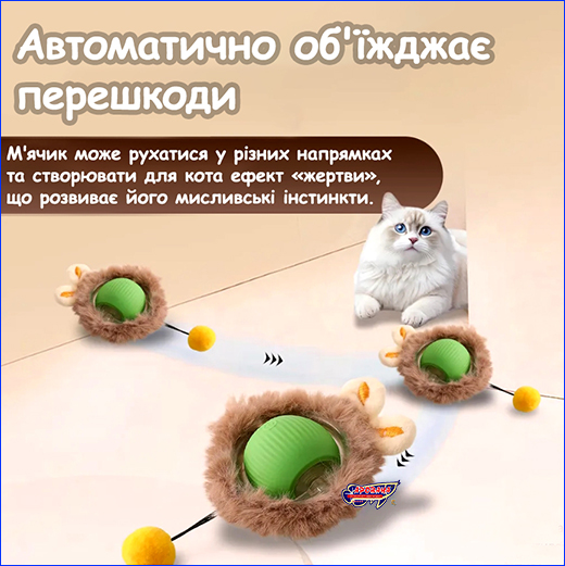   ’  , Smart Cat Ball, .