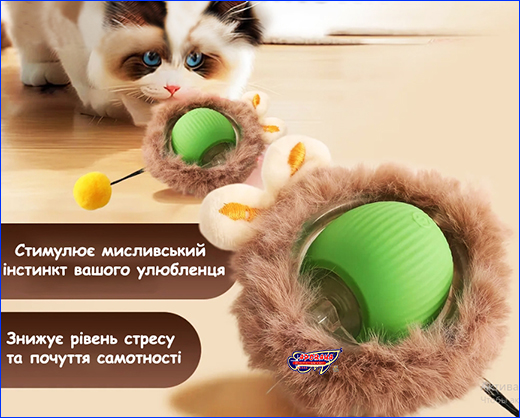   ’  , Smart Cat Ball, .