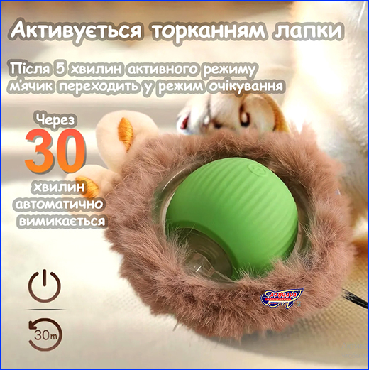  ’  , Smart Cat Ball, .