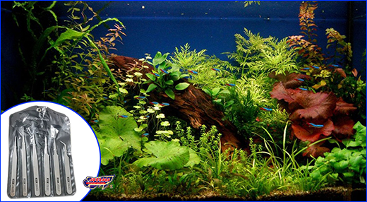 ���� �����������, AQUAXER �4.