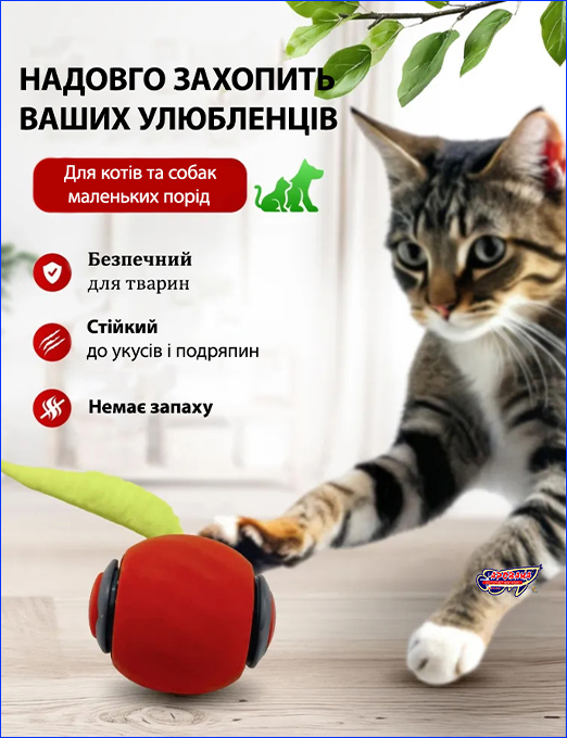  '  , PetGravity Smart, .