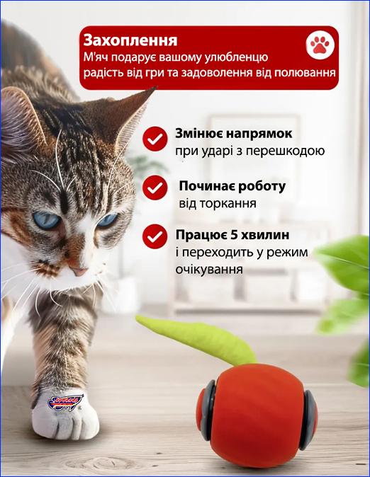  '  , PetGravity Smart, .