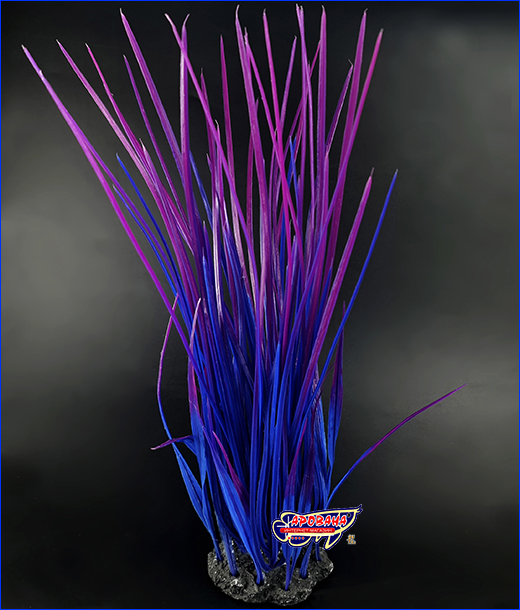  , Eleocharis acicularis, , 37 .