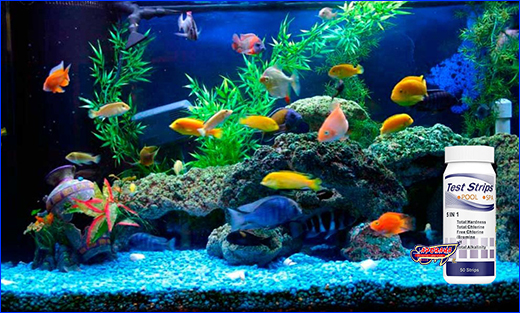 �������-���� ��� ����, POOL/SPA 5 in 1.