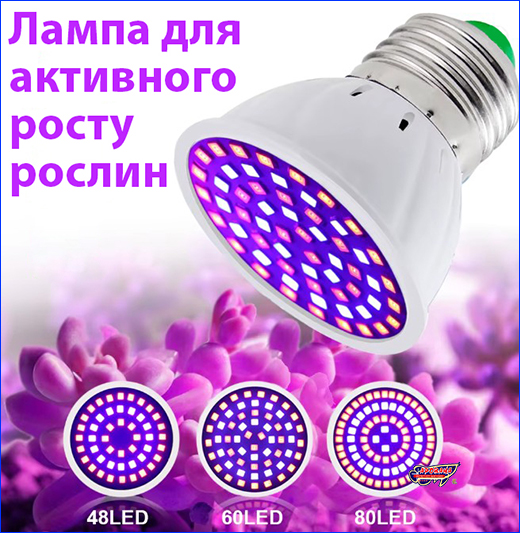 ���������� �����, AQUAXER LED Grow 5 ��.