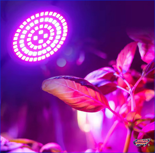 ���������� �����, AQUAXER LED Grow 5 ��.