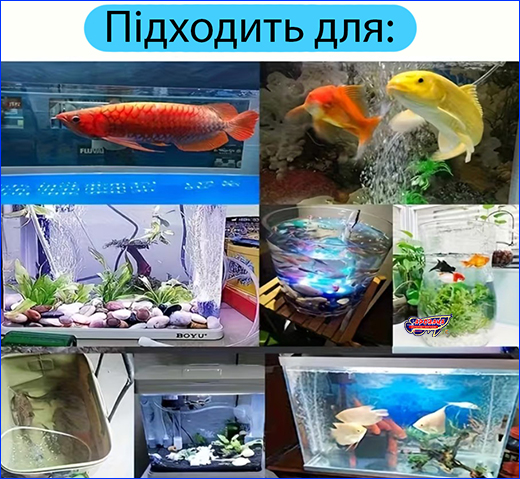 Одноканальний компресор. Компресор USB, ZMKAM, одноканальний.