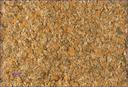 ���� TetraMin Flakes 1000 ml.