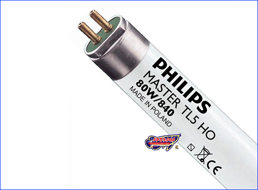  T5 TL5 , Philips Master, 840, 80 , 145 .