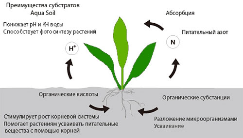 ADA Aqua Soil Powder Amazonia -  . 