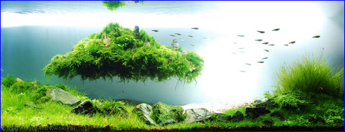 ADA Mekong Sand S -   .