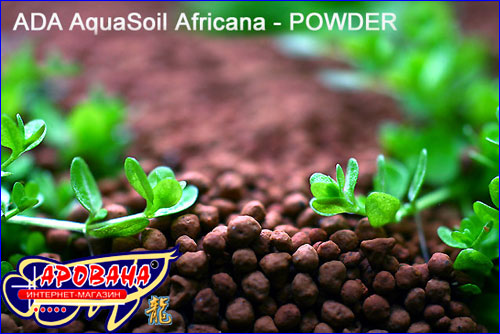 ADA Aqua Soil Normal Africana -   .