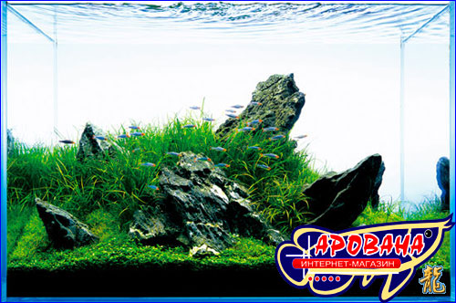  ADA Aqua Soil Powder Malaya -    .