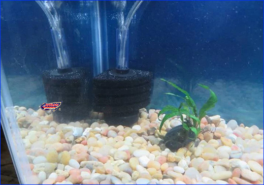  , Aqua Nova NSF-40L.