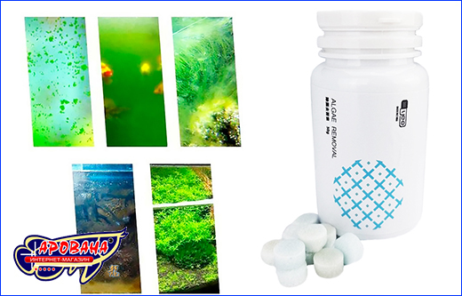 Простота и эффективность применения препарата Algae Removal Tabs от водорослей. Препарат Algae Removal Tabs 50 г.