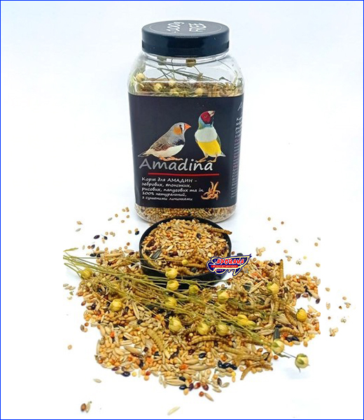  , Amadina ( ) 500 ml.