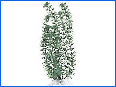 Растение искусственное, Tetra Ambulia 5 см. Растение искусственное, Tetra Ambulia 5 см.