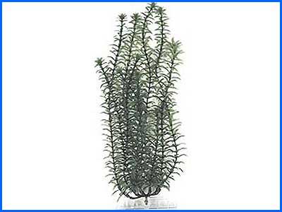 Растение искусственное, Tetra Anacharis 5 см. Растение искусственное, Tetra Anacharis 5 см.