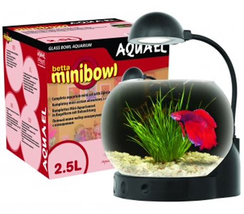 Aquael MINI BOWL -    .