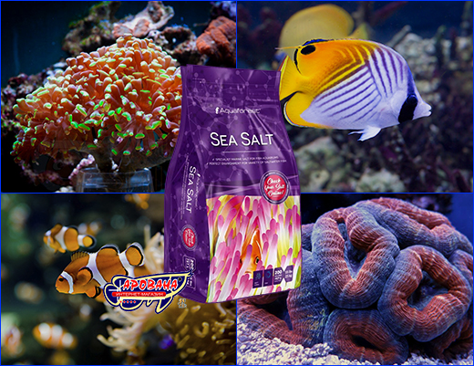   Aquaforest Sea Salt 25 .