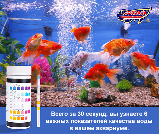 -  , Aquarium Test 6 in 1.