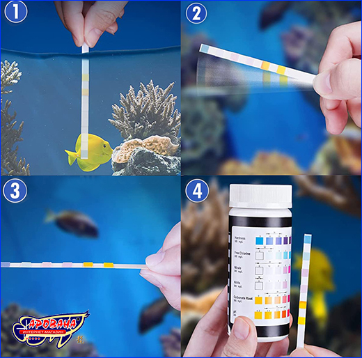 -  , Aquarium Test 6 in 1.