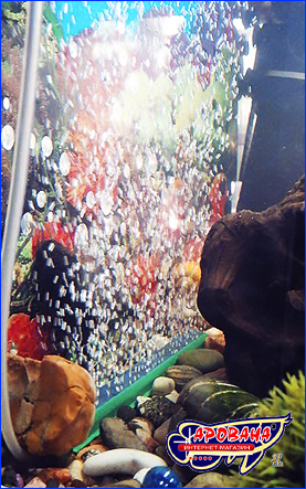  AQUAXER 6, 155 .
