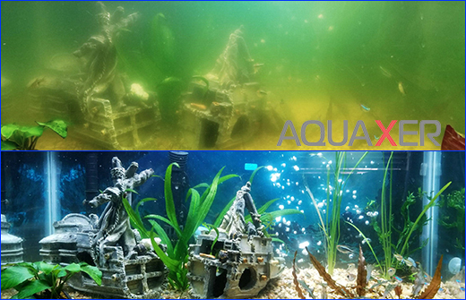 Результат применения коагулянта AQUAXER в аквариуме. Препарат AQUAXER Коагулянт, 1000 ml, на 10000 л.