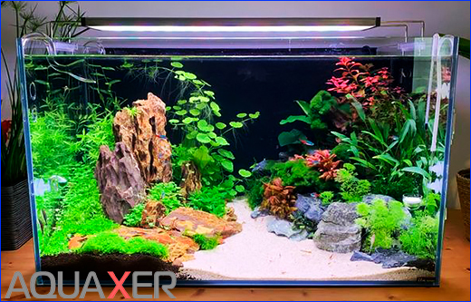 Использование препарата AQUAXER коагулянт в аквариуме. Препарат AQUAXER Коагулянт, 1000 мл, на 10000 л.