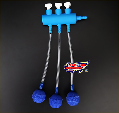 , AQUAXER Blue , 3 .
