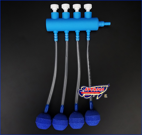 , AQUAXER Blue , 4 .