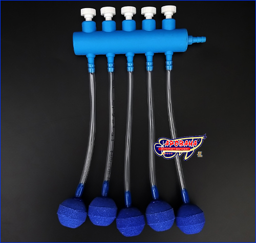 , AQUAXER Blue , 5 .