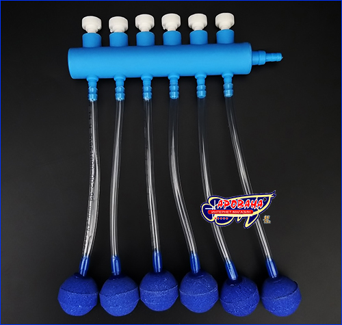 , AQUAXER Blue , 6 .