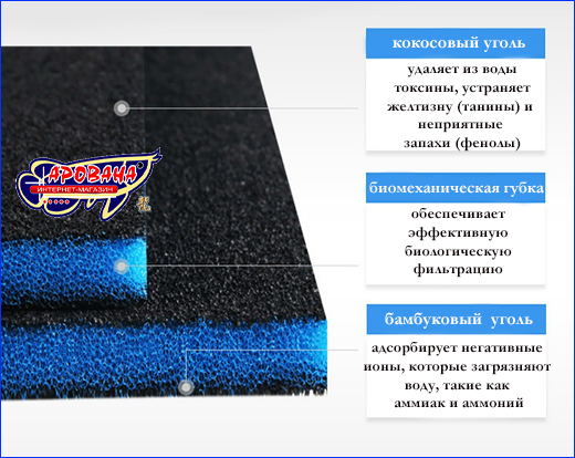  , AQUAXER / 2  1, 30302 .