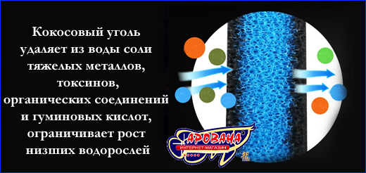  , AQUAXER / 2  1, 30302 .