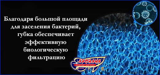 Крупнопористая губка обеспечивает качественную фильтрацию воды. Фильтрующая губка, AQUAXER губка/поролон 2 в 1, 40х25х2 см.