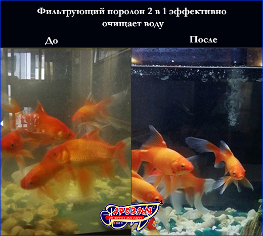  , AQUAXER /, 2  1, 30302 .