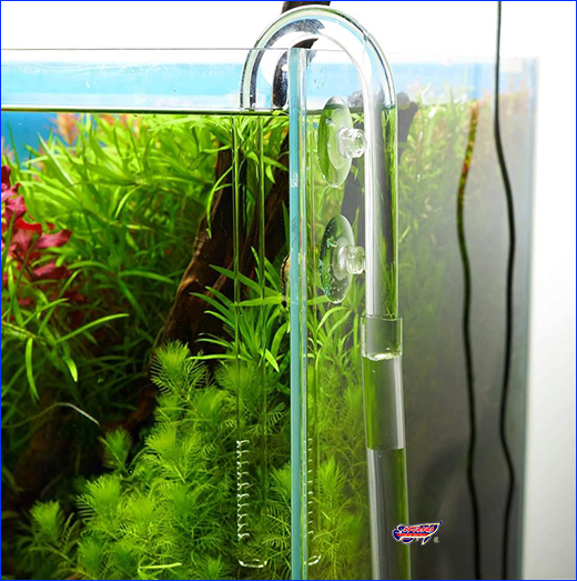  , AQUAXER Lily Pipe,   , 17 .