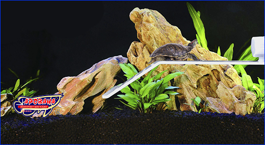 Берег для водной черепахи. Островок для черепах, AQUAXER Island for Turtles L.