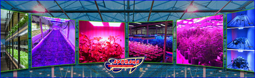 Использование светильников Led Grow Использование светильников Led Grow