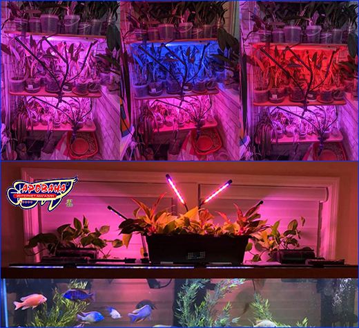 Многофункциональное применение светильника AQUAXER Led Grow Light. Светильник AQUAXER Led Grow Light.
