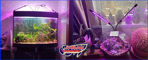 Фитолампа для аквариумных растений и суккулентов. Светильник AQUAXER Led Grow Light.