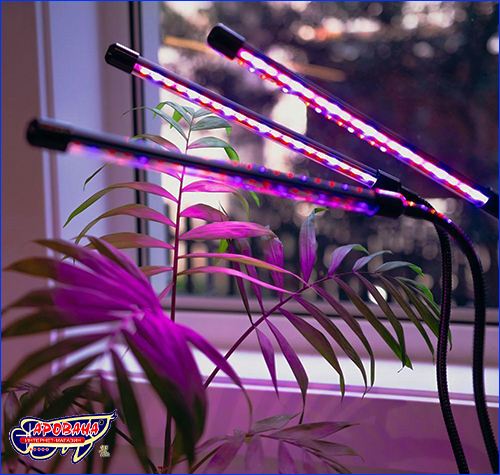  AQUAXER Led Grow Light 36W.