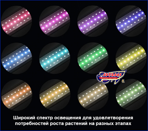  AQUAXER Led Pro 100, 32 .